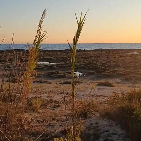 L'arco Sul Mare