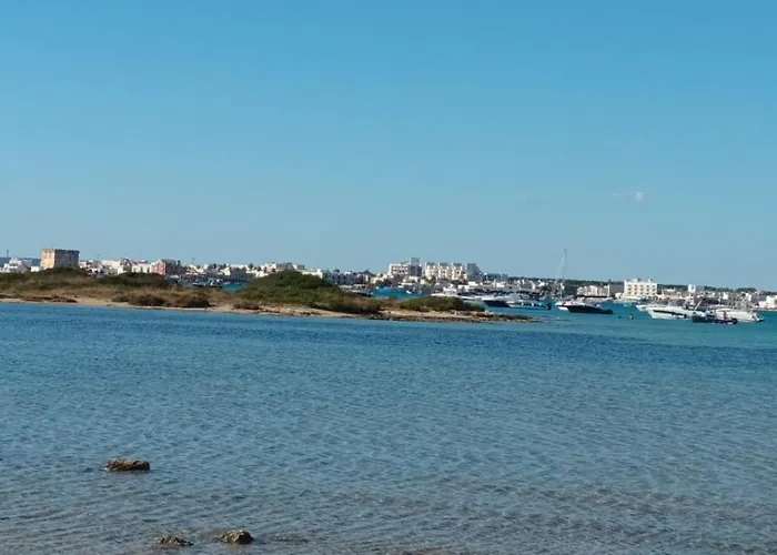 L'arco Sul Mare 住宿加早餐酒店 4*